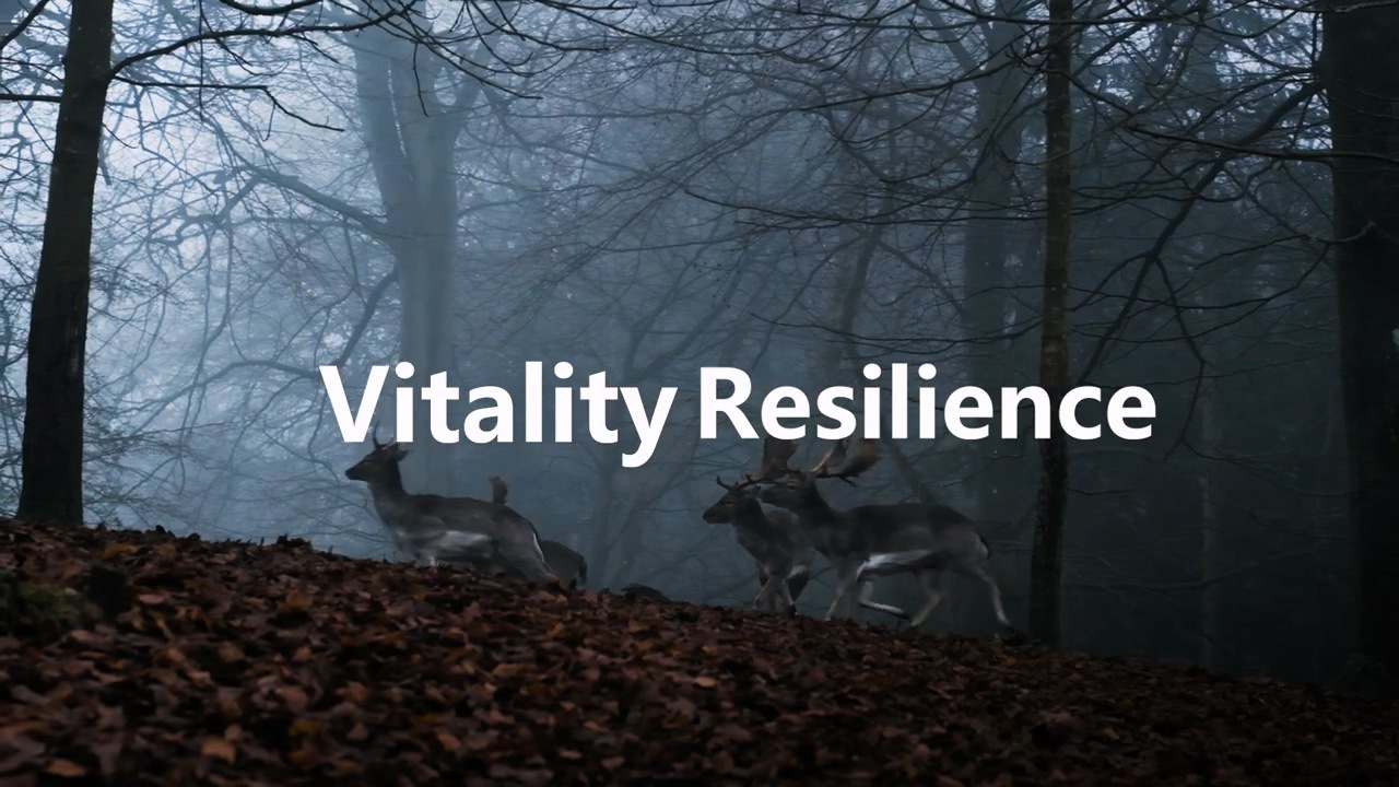 Persistence is a form of Resilience.mp4_20240828_143405.786